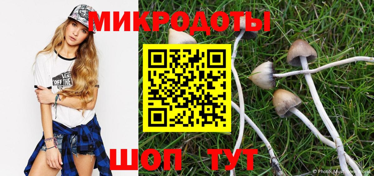 Елабуга  Псилоцибиновые грибы Psilocybine cubensis  что такое   Вход с VPN 